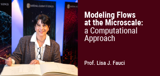 Modeling Flows at the Microscale: a Computational Approach